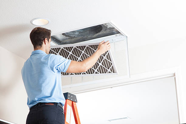 Best Local HVAC Companies  in Rose, LA